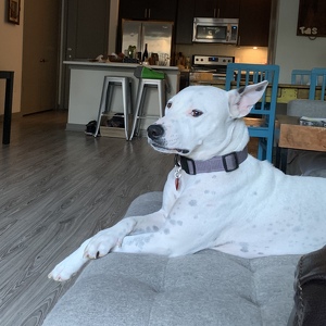 Jaxson Casiano-Walker